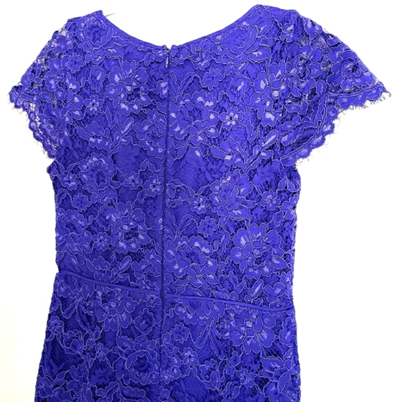 Loft Purple Lace Sheath Dress Scalloped Hem - Picture 7 of 11
